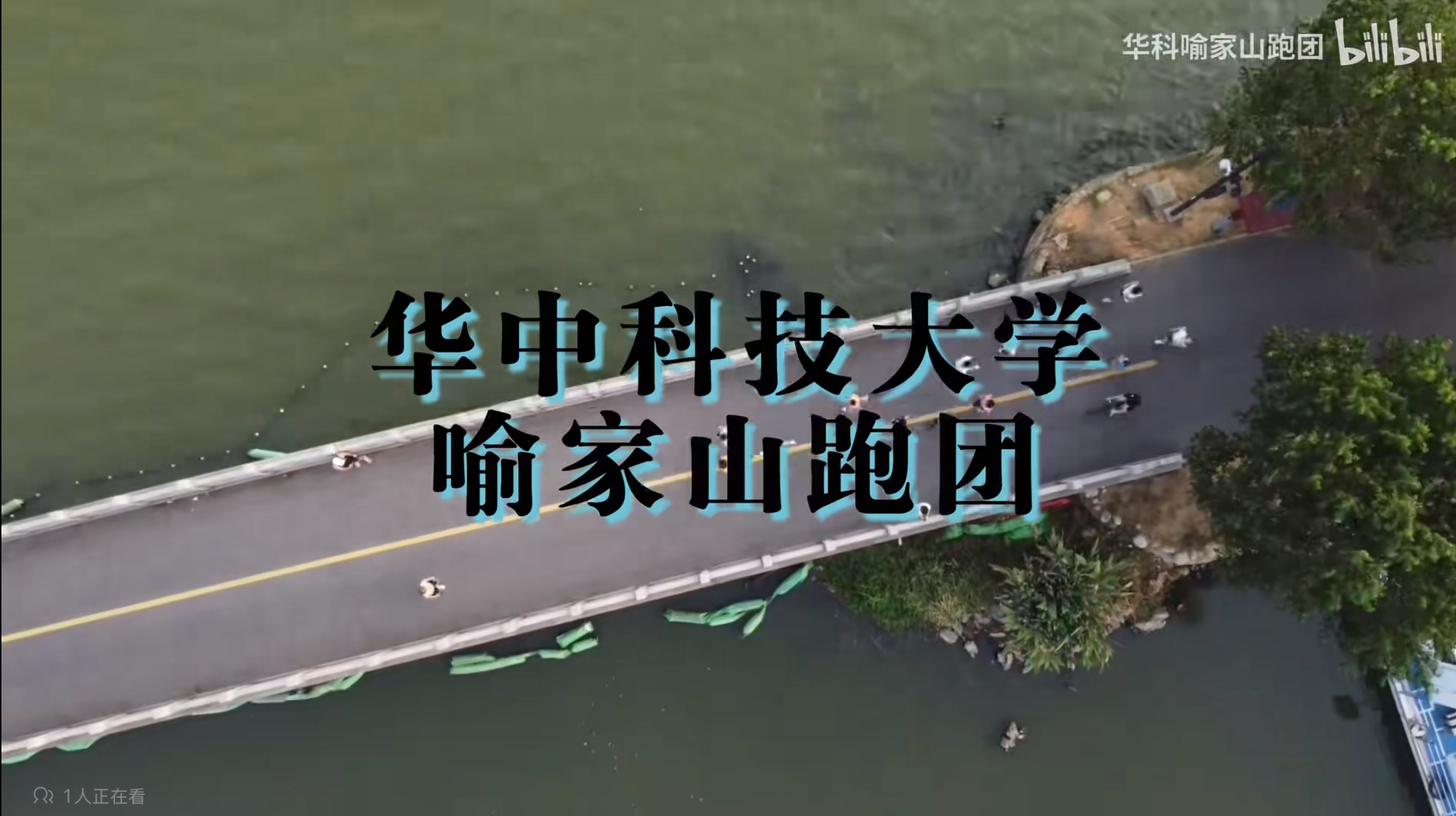 现实的强风吹拂